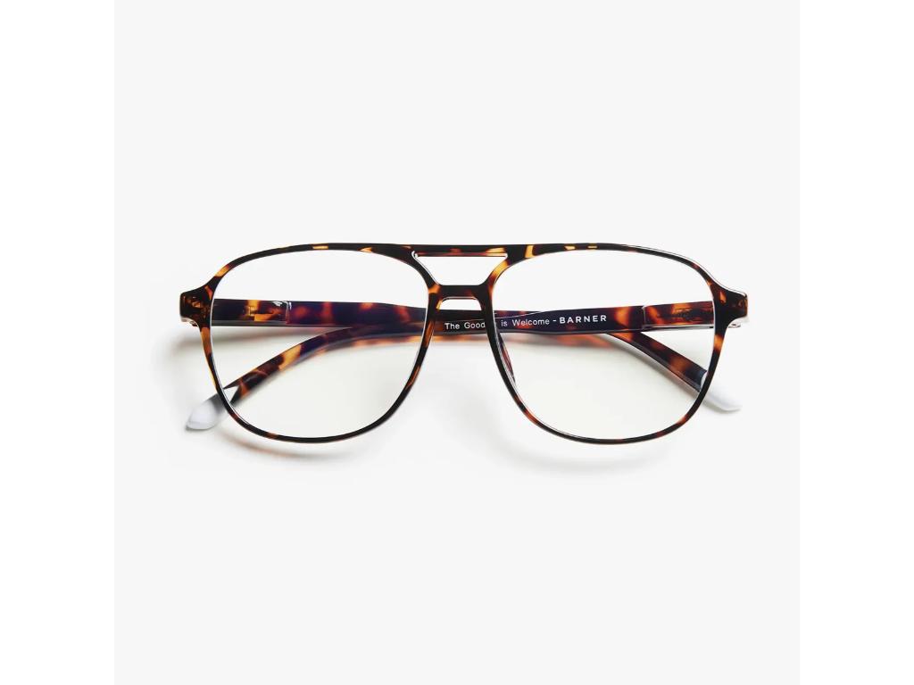 Zaštitne naocare BARNER Brad/Glossy Tortoise