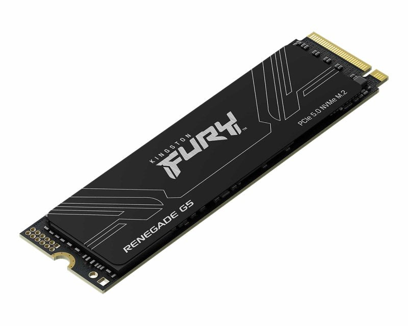 1TB M.2 NVMe SFYR2S/1T0 SSD FURY Renegade G5 SSD
