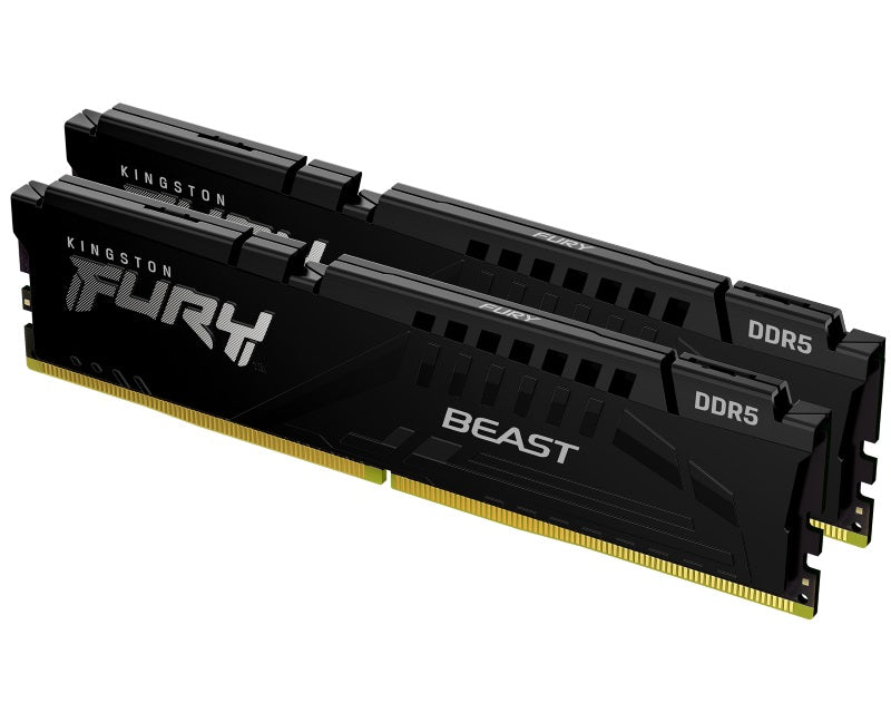 DIMM DDR5 16GB (2x8GB kit) 5600MT/s KF556C36BBEK2-16 Fury Beast Expo