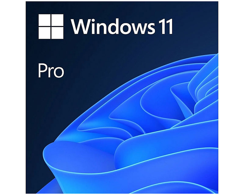 Windows 11 Pro FPP 64-bit (HAV-00164)