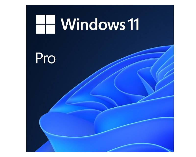 Windows 11 Pro GGK Eng Intl (4YR-00316)