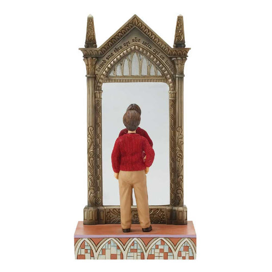 Harry Potter - Harry's Reflection