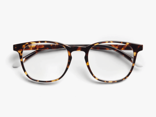 Zaštitne naocare BARNER Dalston/Glossy Tortoise