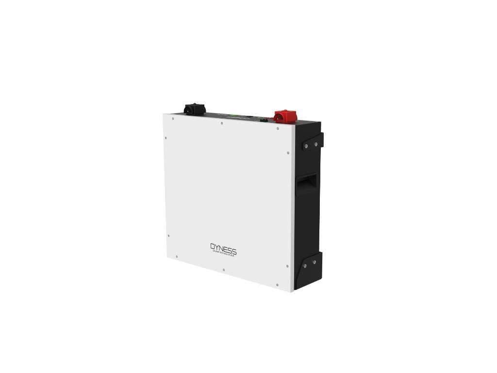 Dyness Lithium battery 51.2V 100Ah, 5.12kWh, self heating