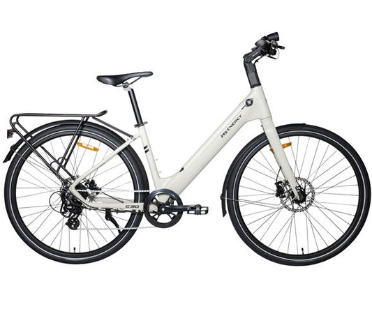 MS ENERGY eBike c30