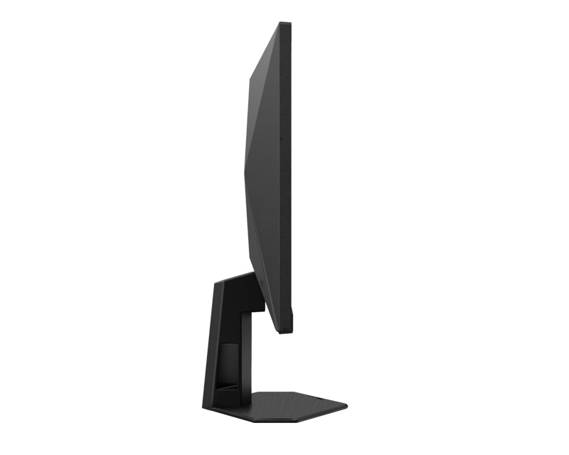 24.5 inča 25G4SRE FHD 1920x1080 Fast IPS 310 Hz G-Sync gaming monitor