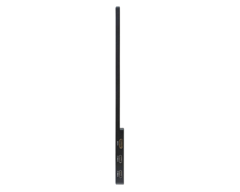 15.6 inča PM161QBBMIUUX FHD 1920x1080 IPS FreeSync prenosni monitor