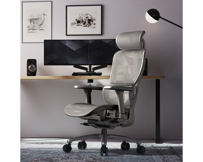 XTC-Mesh Ergonomska stolica siva
