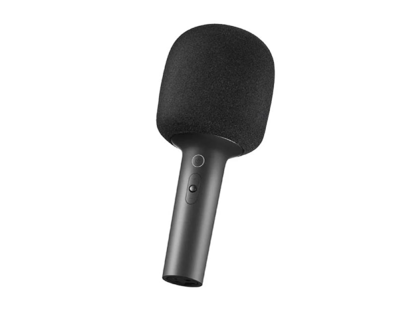 Karaoke Microphone (BHR6752GL)